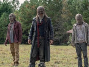Walking dead season 10 shop episode 14 free online