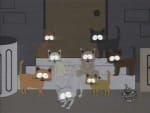 Cat Orgy Picture