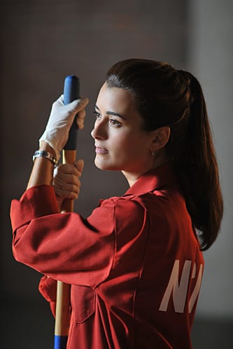 Ziva Cleans Up