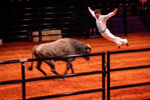 High-Flying Lataste