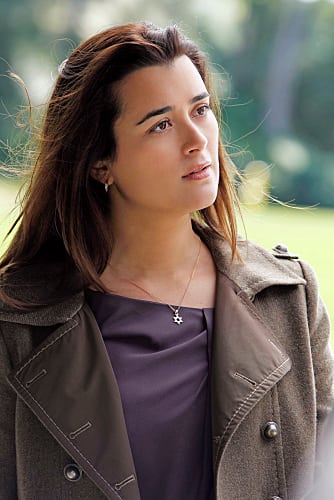 pics Mike Franks Ncis Death ncis burning question where was ziva