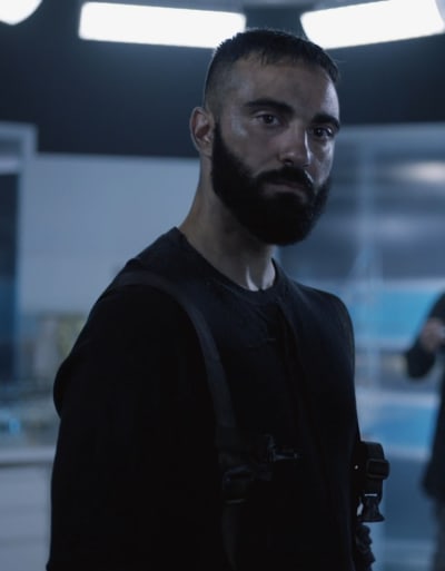 nelsonseason7