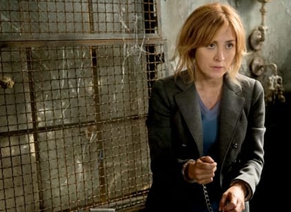Watch rizzoli online and isles online