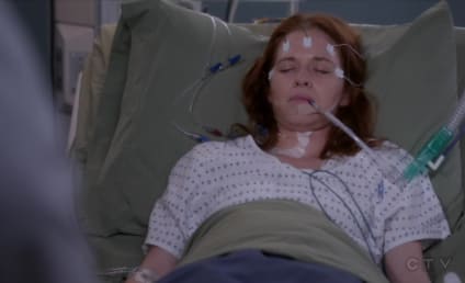 Grey's Anatomy Season 14 Episode 23 Review: Cold As Ice 