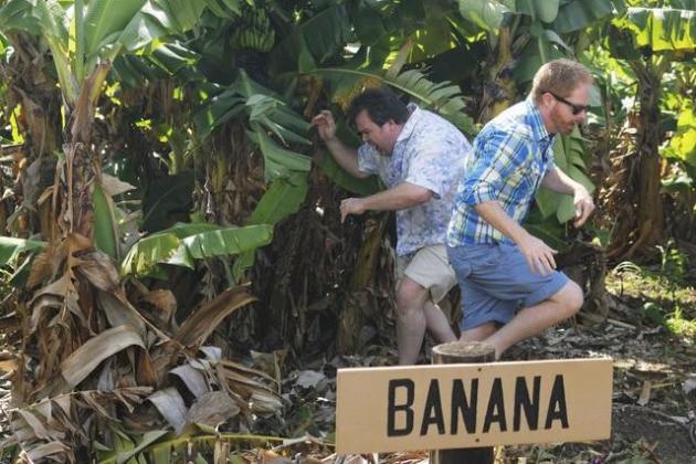 Hawaii Trip