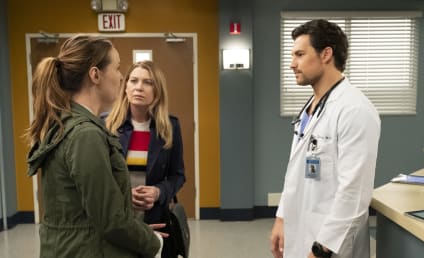Grey's Anatomy Season 15 Episode 24 Review: Drawn to the Blood