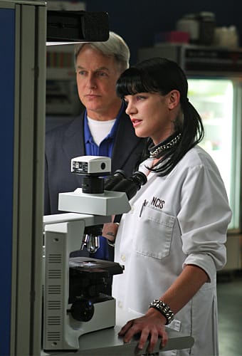 Abby and Gibbs Photo