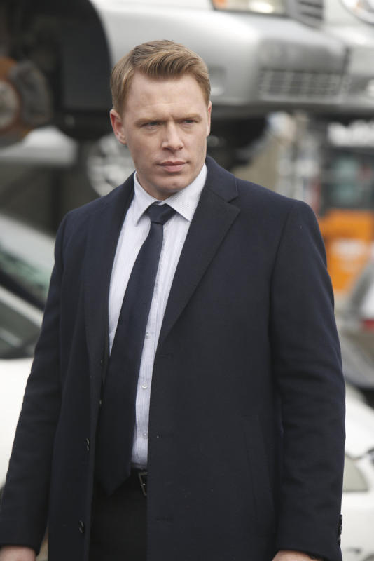The Blacklist Cast: Before They Were Stars - TV Fanatic