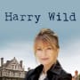 Harry Wild Poster