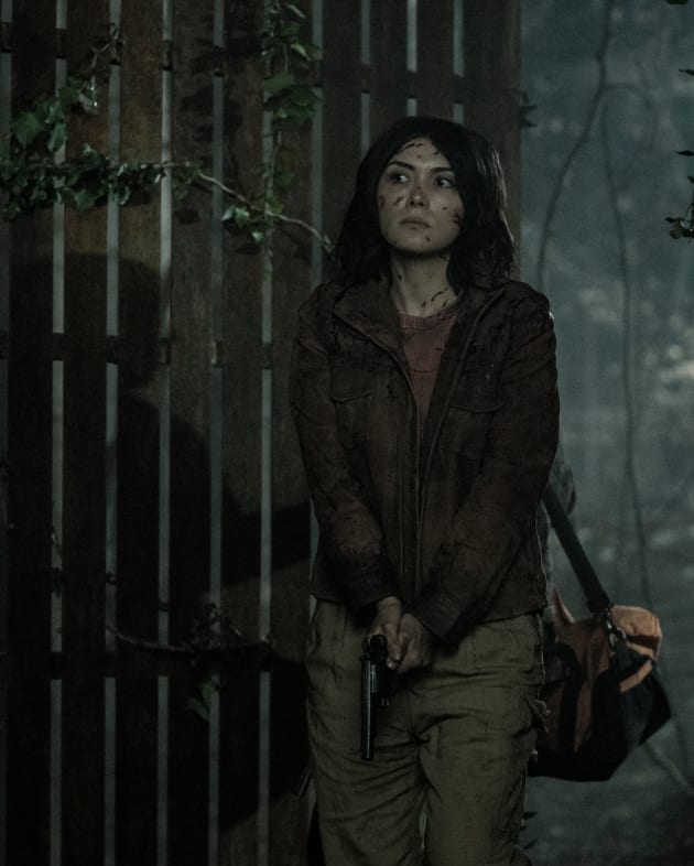 Beyond the Walls - Tales of the Walking Dead