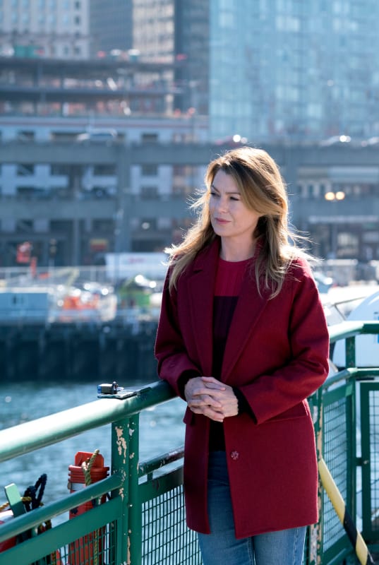 Meredith's Growth - Grey's Anatomy Season 14 Episode 7