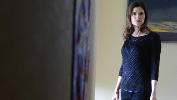 Betsy Brandt on Breaking Bad