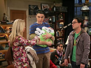 Big bang theory season 3 online sales