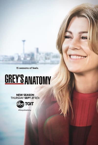 Gray's Anatomy Season 15 Poster