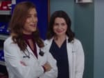 Addison Returns Again - Grey's Anatomy