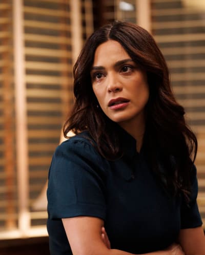 Maroun Puts Her Feelings Aside - Law & Order Season 22 Episode 11