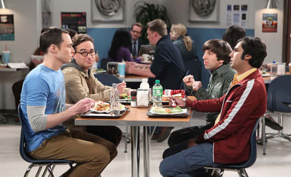 The Big Bang Theory Season 8 Episode 20 Review: The Fortification Implementation