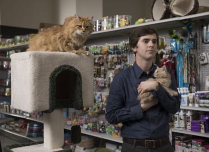 The Good Doctor Season 2 Episode 7 Tv Fanatic