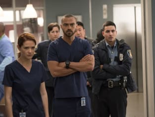 Grey s Anatomy Season 14 Episode 10 Review Personal Jesus TV