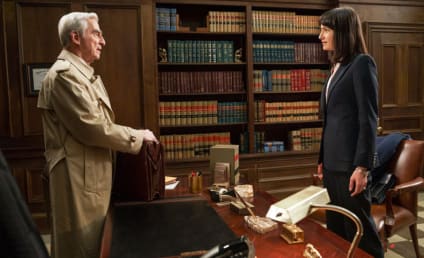 Law & Order Season 22 Episode 22 Review: Open Wounds