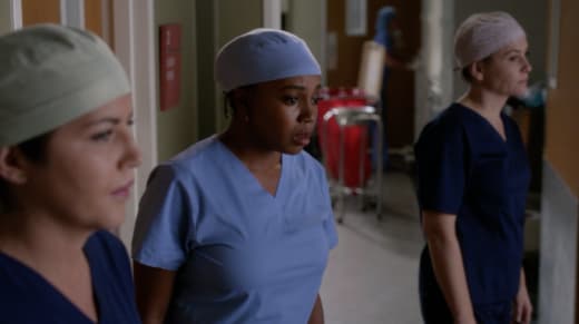 grey's 13x13
