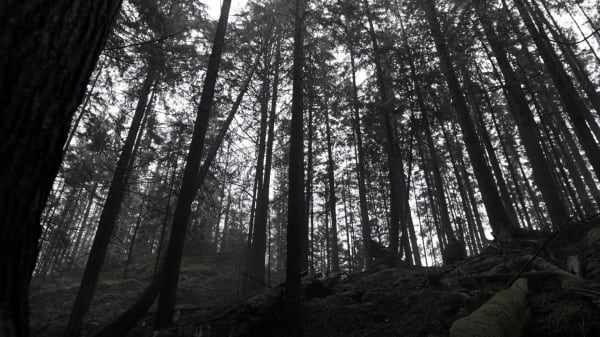 The 100 season 7 free episodes deals