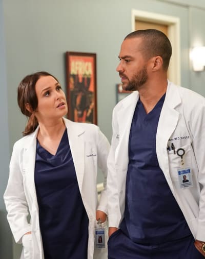 J & J - Tall  - Grey's Anatomy Season 16 Episode 14