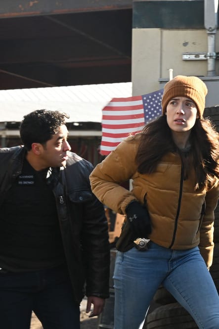 Chicago pd online season 3 putlocker