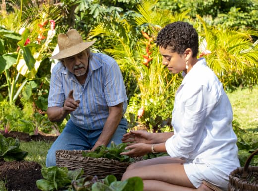 Gardening Tips - Fantasy Island Season 1 Episode 4