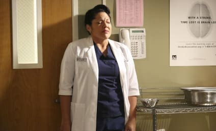 Grey's Anatomy Round Table: Did Callie Make the Right Choice?
