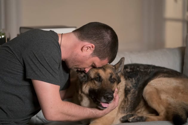 A Veteran and His Dog