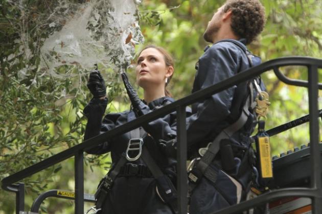Brennan and Hodgins in the Field