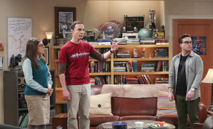 The Big Bang Theory Season 10 Episode 12 Review: The Holiday Summation