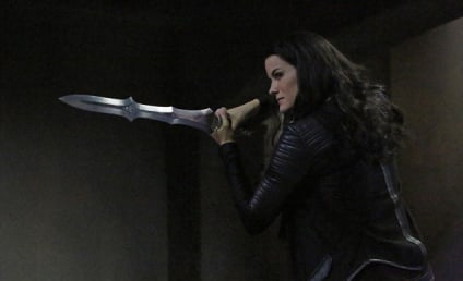 Agents of S.H.I.E.L.D. Season 2 Episode 12 Picture Preview: The Lady Returns