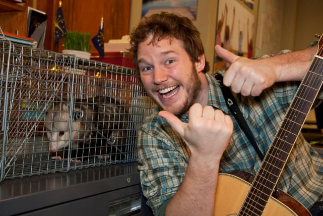 Andy Dwyer - Parks and Recreation