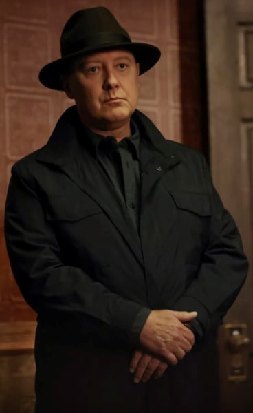 Raymond Reddington - Saison 9, The Blacklist