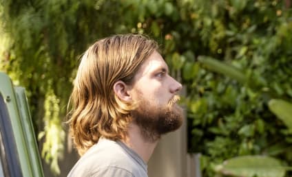 Animal Kingdom - TV Fanatic