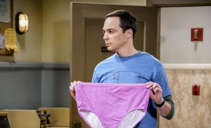 Watch The Big Bang Theory Online: Season 11 Episode 18