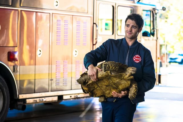 Borrelli and the tortoise chicago fire