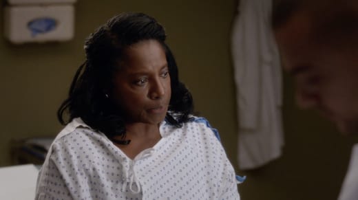 grey's diane