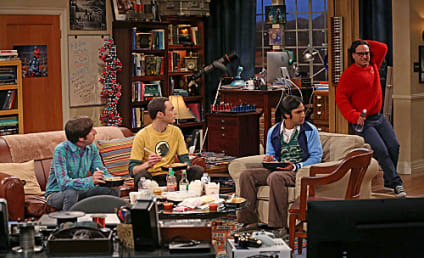 The Big Bang Theory: Watch Season 7 Episode 8 Online