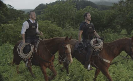 Hawaii Five-0 Season 10 Episode 19 Review: E ho'i na keiki oki uaua o na pali (Home go the very tough lads of the hills)