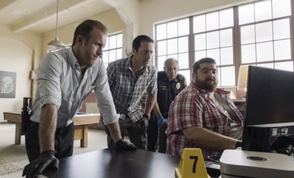 Hawaii Five-0 Season 9 Finale Review: Hana Mao 'ole ka ua o Waianae (Endlessly Pours the Rain of Waianae)