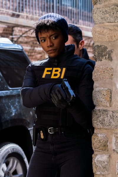 Noted Criminal - FBI Season 5 Episode 19