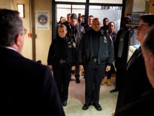 Lyle Lovett Guest Stars Blue Bloods Season 10 Episode 14 Tv Fanatic
