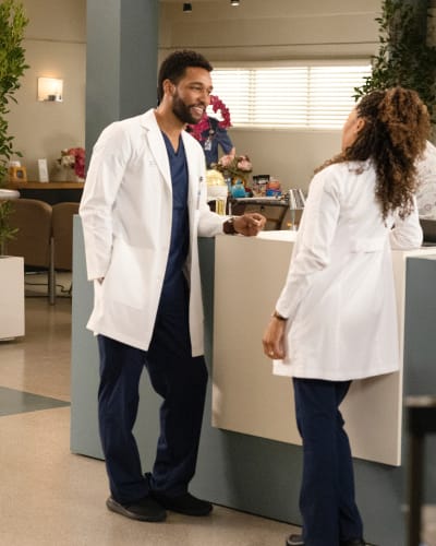 Flirty Newlyweds - Grey's Anatomy Season 18 Episode 10