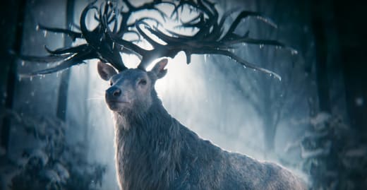 Shadow and Bone Teaser Screengrab