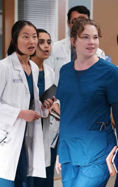 Ducklings - tall - Grey's Anatomy Season 19 Episode 11