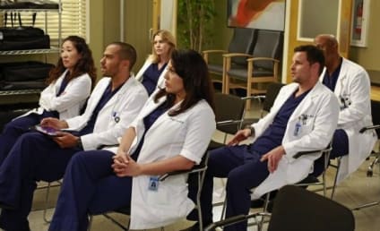 Grey's Anatomy Season 9 Report Card: B-