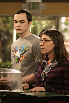Big bang theory season 3 episode 23 cheap watch online